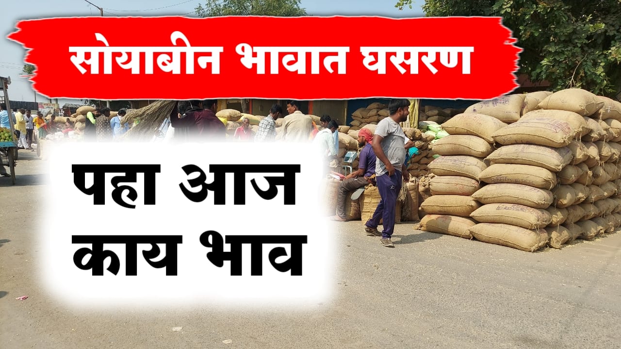 सोयाबीन भावात