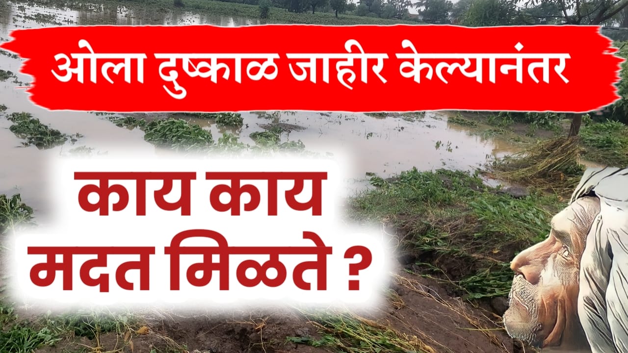 ओला दुष्काळ