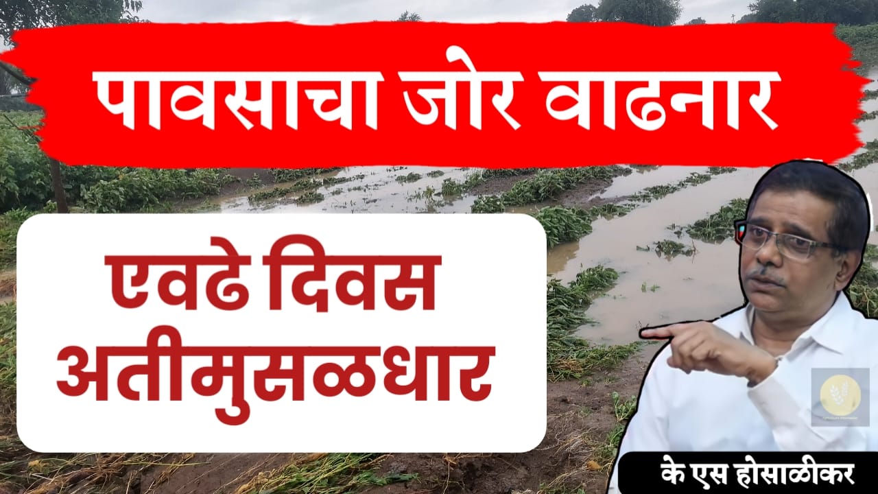 राज्यात पावसाचा जोर