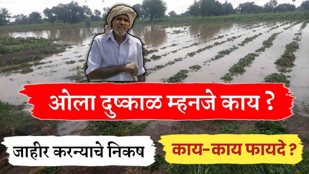 ओला दुष्काळ